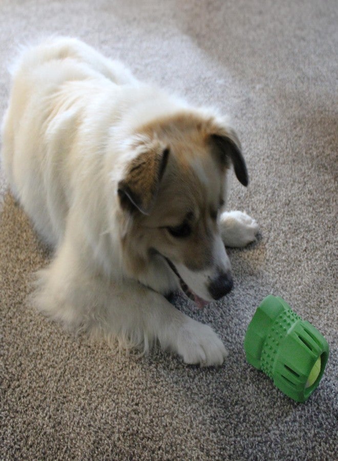 SPOT Barrett Tough Tennis Jumble Dog Toy for Large Dogs - Durable Rubber Barrel & Ball Combo, Virtually Indestructible Puzzle Toy with Textured Surface for Dental Health, 4 in Barrel & 2.5 in Ball - Image 5